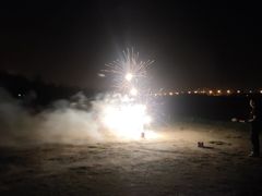 -春花秋色城市公园