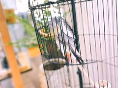 -阜昌典当行(阜成门店)