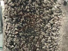 -中国第四纪冰川遗迹陈列馆