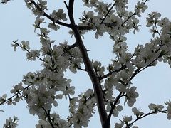 -南开大学(津南校区)