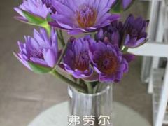 -弗劳尔花艺坊(龙涛店)
