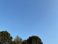 -风云岭森林公园