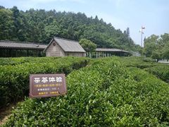 -黄陂区野村谷景区