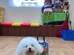 -Tim炒酸奶
