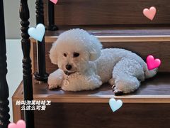 -默迹咖啡馆