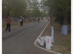 -黑龙江省森林植物园