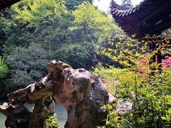 -杭州黄龙洞