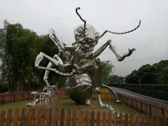 -东南花都花博园