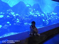 -华夏文旅海洋公园