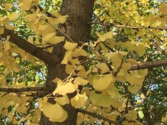 -长安大学(北校区)