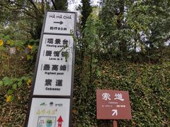 -MAMACHA妈妈茶(岳麓山店)