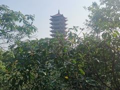 -缙云山景区