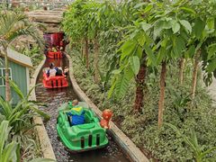 -南宫五洲植物乐园