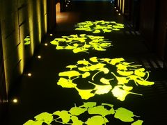 -泰傳奇