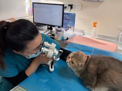 -美联众合动物医院·24h京西诊疗中心