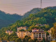 -银湖山郊野公园-相思林