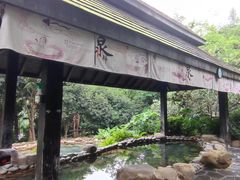 -融汇温泉