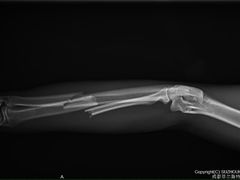 -菲尔斯特宠物医院