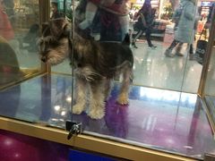 -乐宠宠物店(世纪金源店)