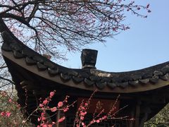 -杭州植物园