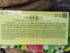 -花之城