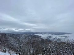 -牛背梁国家森林公园