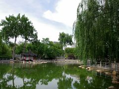 -莲湖公园