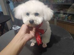 -萌兽医馆·犬猫专科·眼科中心·宠物医院(朝阳门分院)