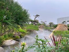 -罗红摄影艺术馆