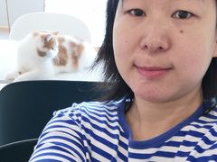 -飞行喵MR PILOT|猫舍·猫咖(静安大融城店)