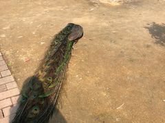 -杭州野生动物世界