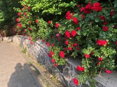 -大连植物园