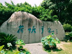 -荷塘月色湿地公园·向阳花洲