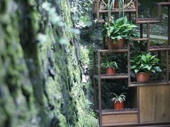 -国生茶庄·地道农家菜团建活动