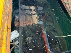 -蓝湾碧波·老字号·疍家非遗海上餐厅
