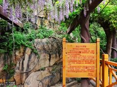 -龙口南山旅游景区