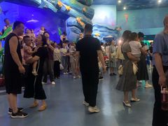 -西安曲江海洋极地公园
