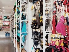 -百好乐宠物友好餐厅(朝外大街店)