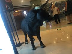 门面-黑牛の店·和牛烧肉(大悦城店)