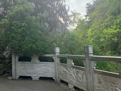 -黔灵山公园