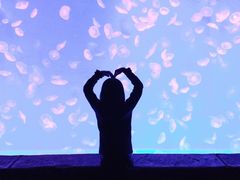 -波塞冬旅游度假区