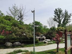 -思念果岭悦温泉