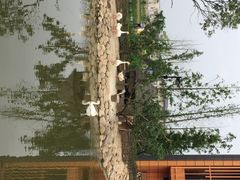 田园东方-田园东方蜜桃村的田野营地
