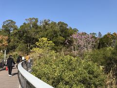 -胡里山炮台