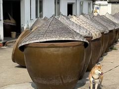 -苏州市吴中区光福窑上花果蜜饯厂