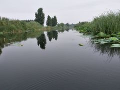 -白洋淀景区