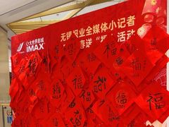 -大世界影城(无锡江南大悦城IMAX激光店)