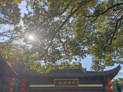 -杭州黄龙洞