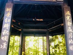 -黄海国家森林公园