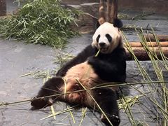 -上海野生动物园